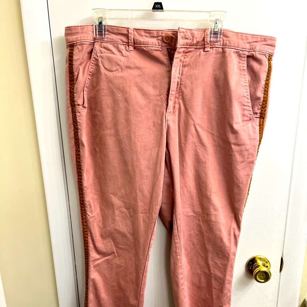 Anthrpologie chinos